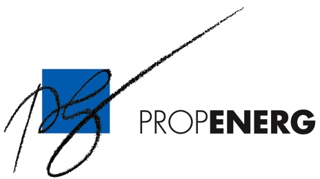 Logo avec PPG rogné